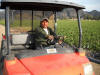 Sammis Irrigator